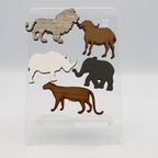 Big 5 Magnets in a Pouch