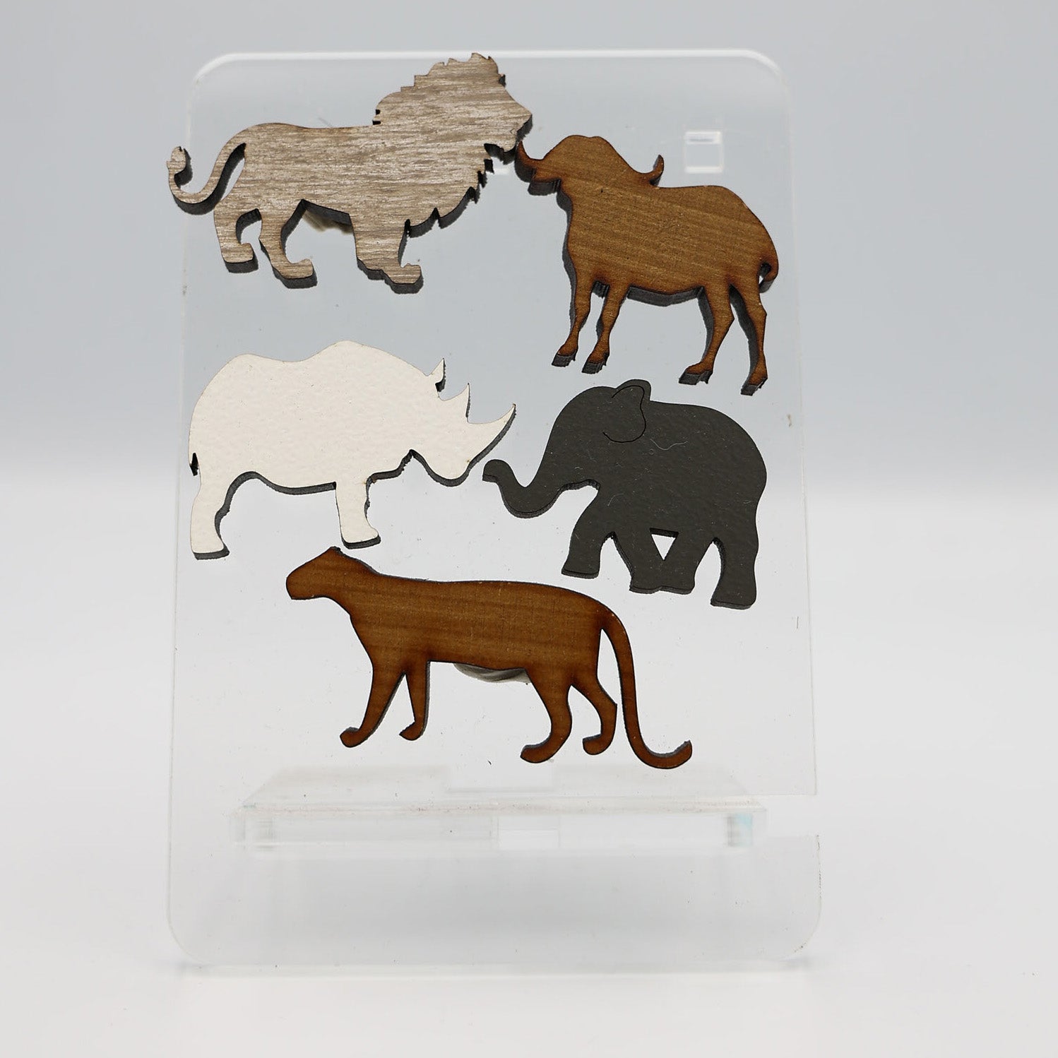 Big 5 Magnets in a Pouch