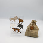 Big 5 Magnets in a Pouch