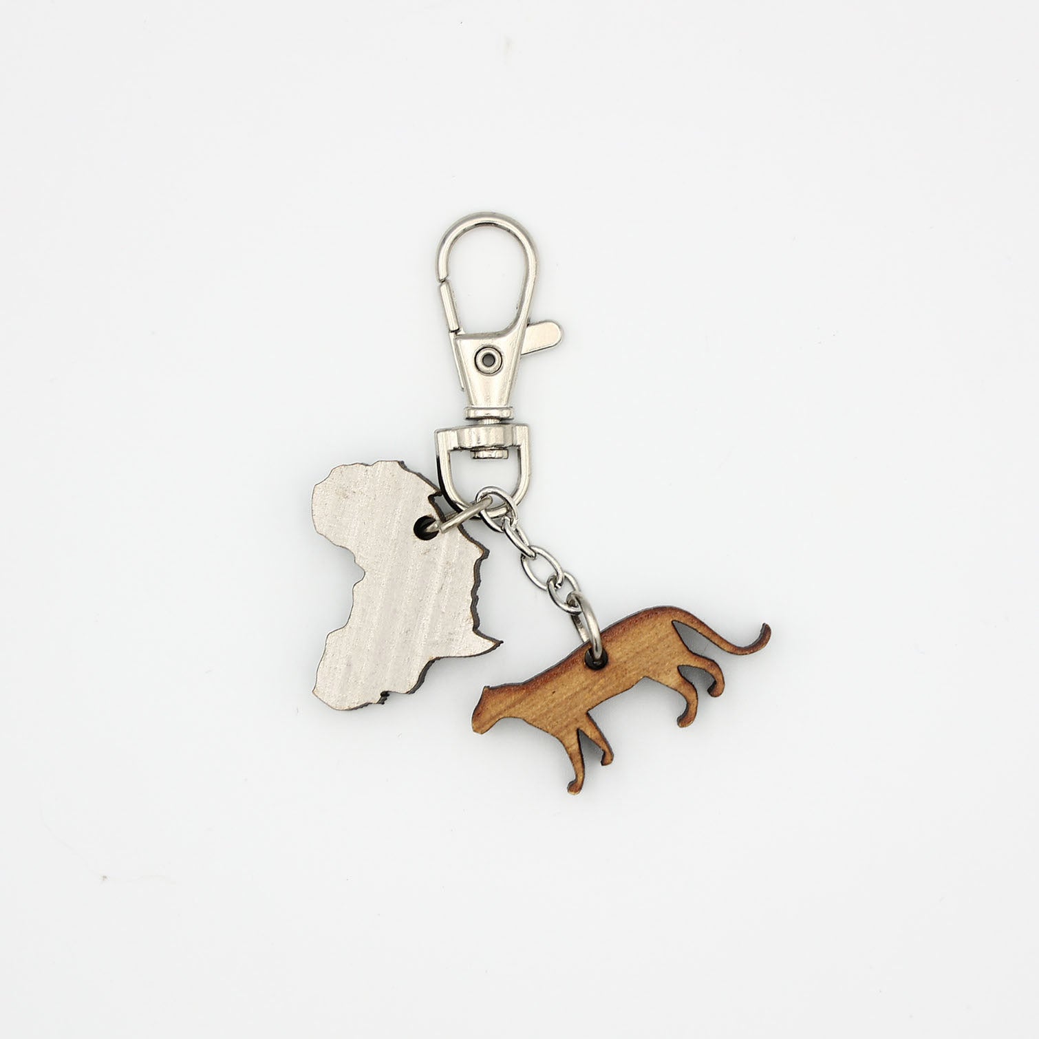 Celebrate Africa Key Chains