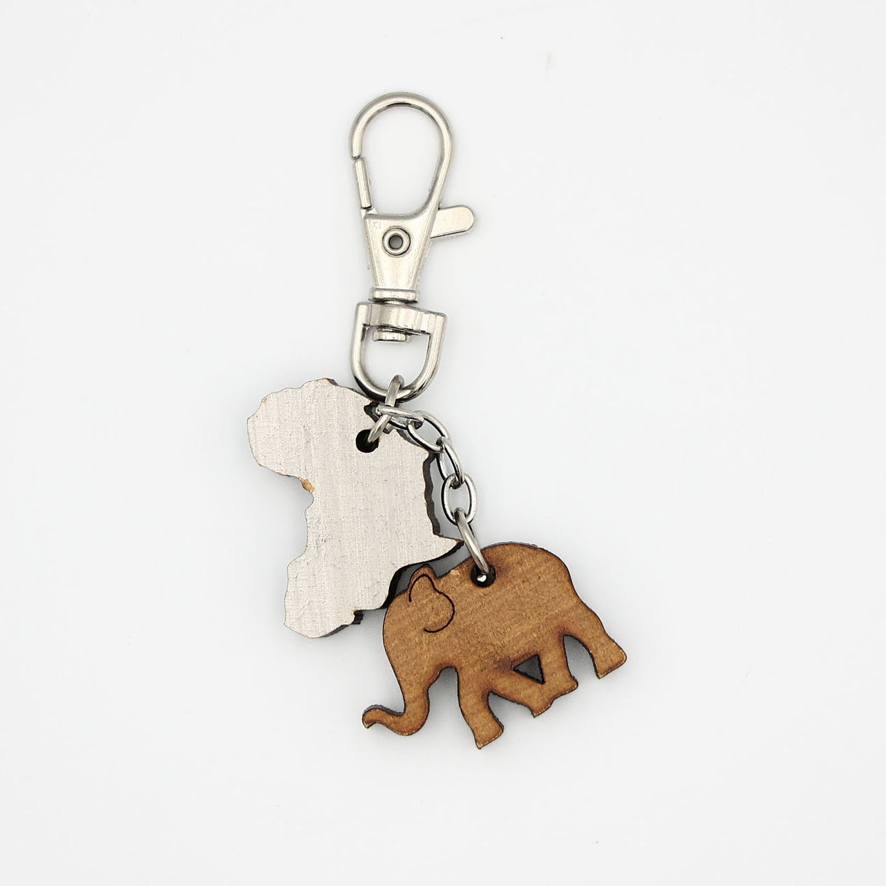 Celebrate Africa Key Chains