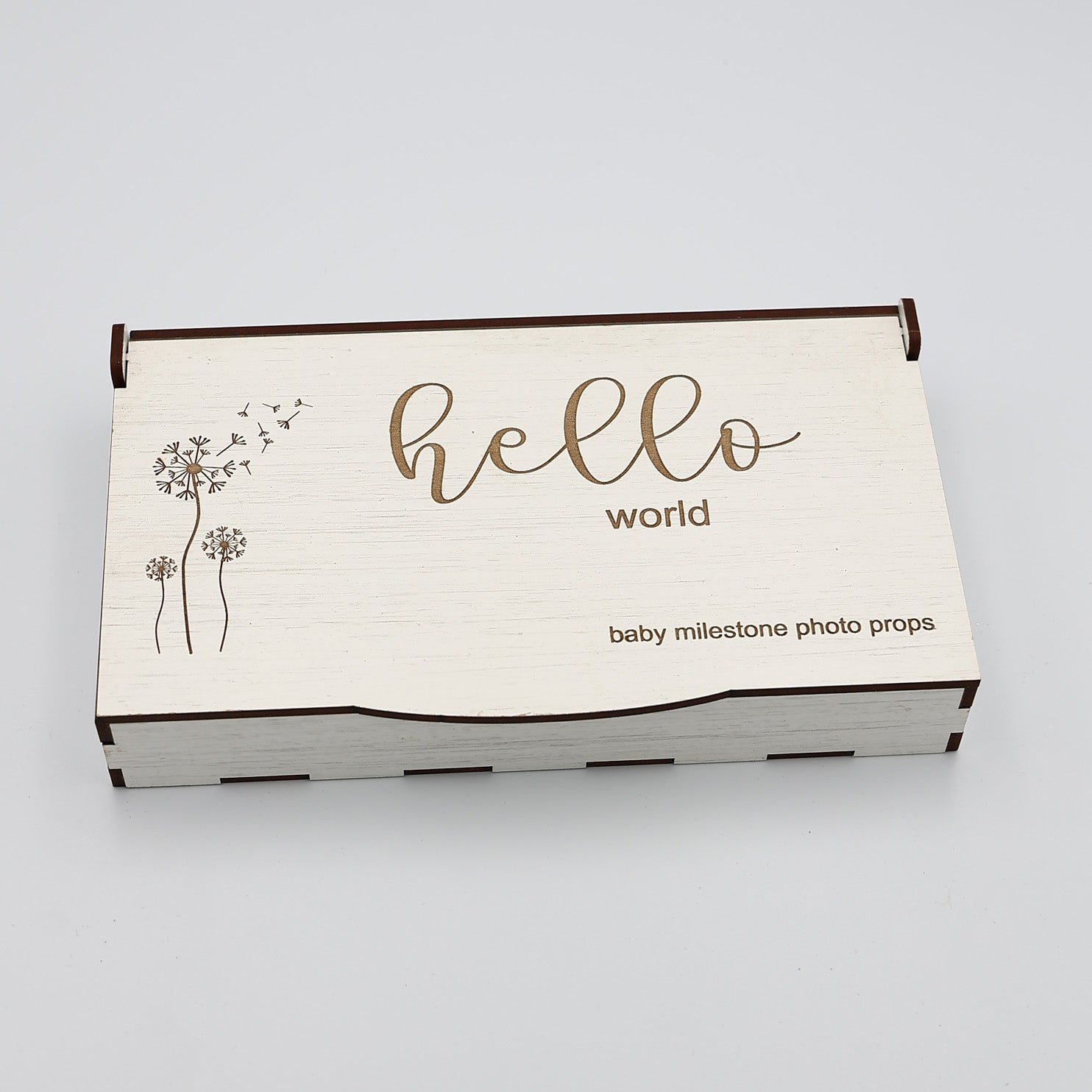 Baby Milestones Photo Props in Wooden Box