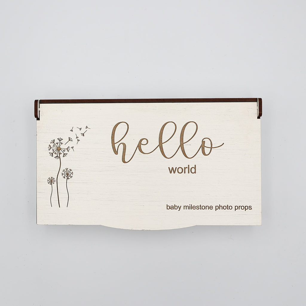Baby Milestones Photo Props in Wooden Box
