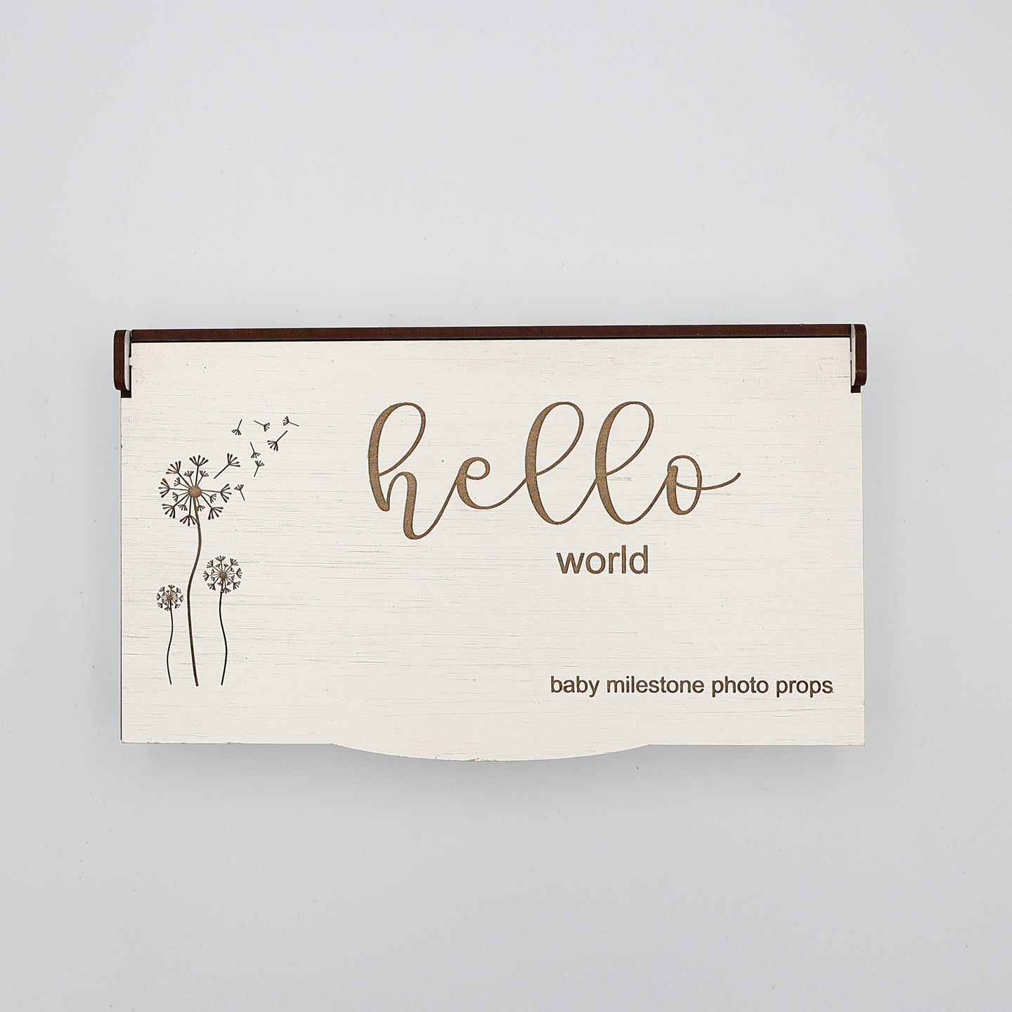 Baby Milestones Photo Props in Wooden Box